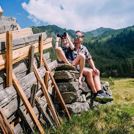 Chalet Freiblick Kleinhaid, Hollersbach Hollersbach im Pinzgau Εξωτερικό φωτογραφία