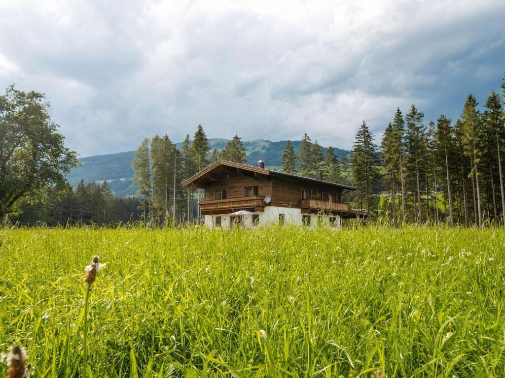 Chalet Freiblick Kleinhaid, Hollersbach Hollersbach im Pinzgau Εξωτερικό φωτογραφία