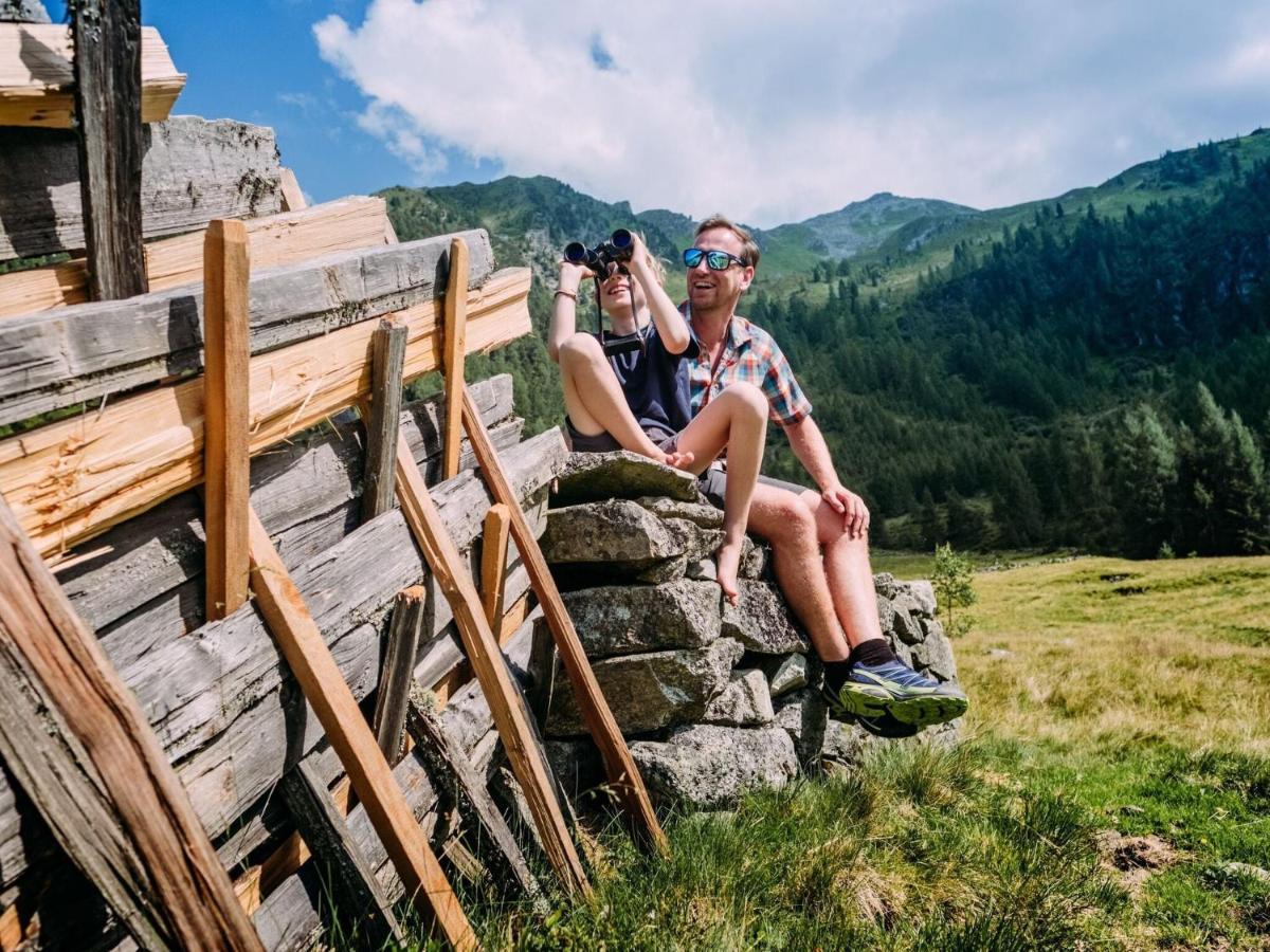 Chalet Freiblick Kleinhaid, Hollersbach Hollersbach im Pinzgau Εξωτερικό φωτογραφία