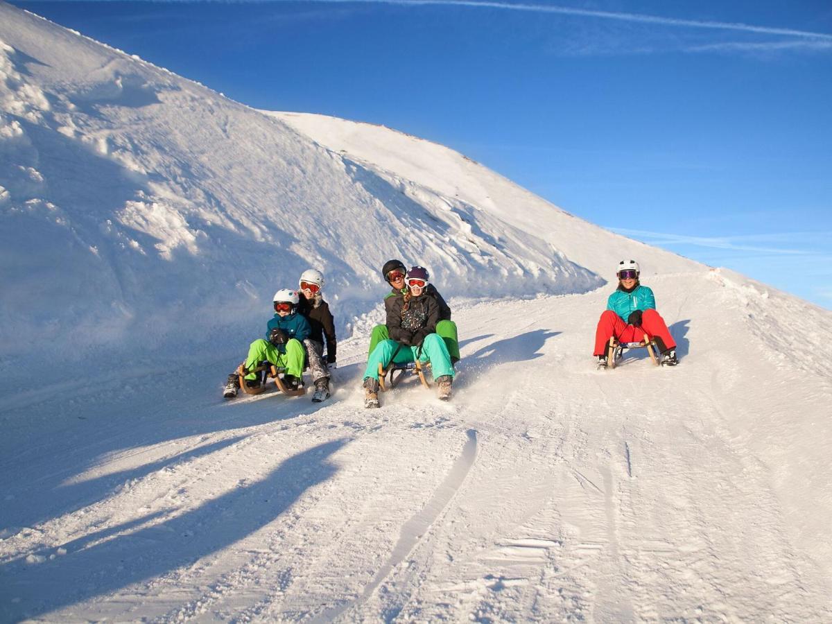 Chalet Freiblick Kleinhaid, Hollersbach Hollersbach im Pinzgau Εξωτερικό φωτογραφία